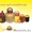 Порционный мед от отечественного товаропроизводителя - Изображение #3, Объявление #1048782