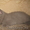 Британские котята с отличной родословной голубого и лилового окраса - Изображение #3, Объявление #1177162