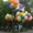 Гелиевые и светящиеся шары с доставкой в течении часа  по городу - Изображение #8, Объявление #1312836