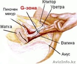 Female Genital massage - Изображение #3, Объявление #54183
