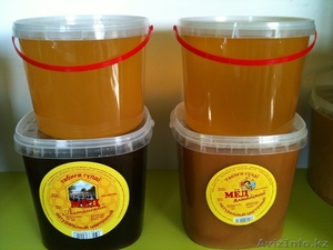 Натуральный мёд, Мёд Алтайский, пыльца, сотовый мёд, прополис. - Изображение #1, Объявление #73010
