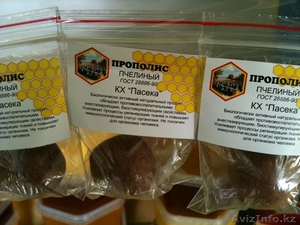 Натуральный мёд, Мёд Алтайский, пыльца, сотовый мёд, прополис. - Изображение #3, Объявление #73010