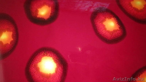  Новые технологии в изготовлении мебели. Мозаика.