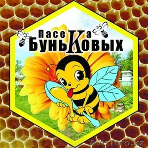 Продукты пчеловодства Усть-Каменогорск - Изображение #1, Объявление #775108