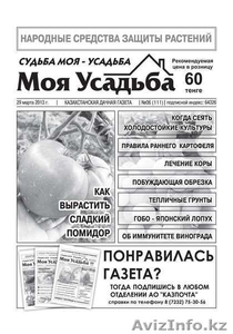 продам действующий бизнес- казахстанскую дачную газету - Изображение #1, Объявление #876050