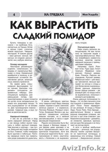продам действующий бизнес- казахстанскую дачную газету - Изображение #3, Объявление #876050