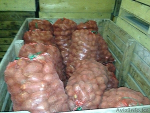 Картофель оптом по 40 тенге