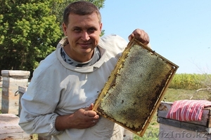 Продам оптом мёд 2014 года - Изображение #1, Объявление #1132933
