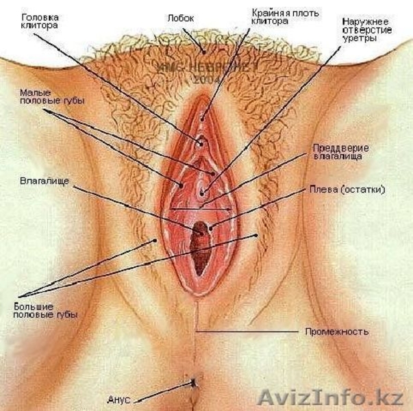 Female Genital massage - Изображение #2, Объявление #54183