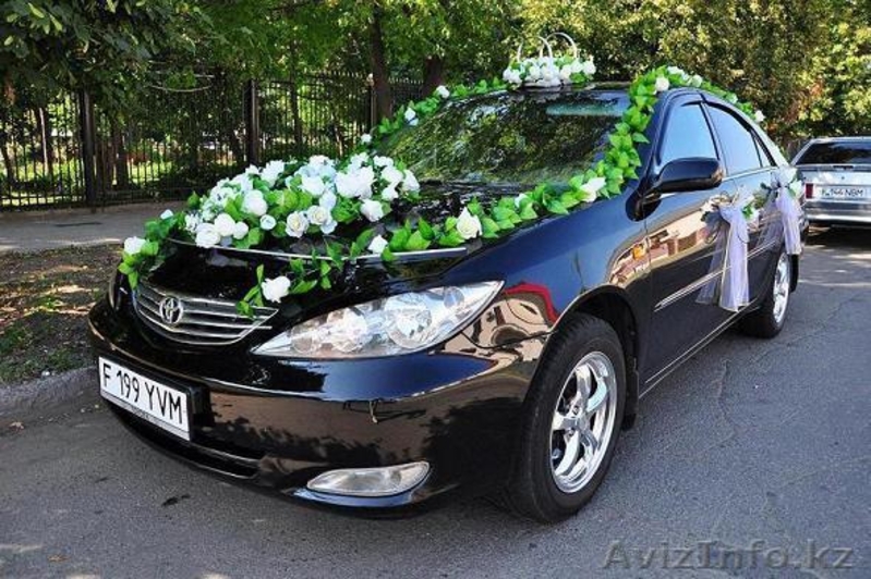 Любые транспортные услуги. - Изображение #2, Объявление #292704