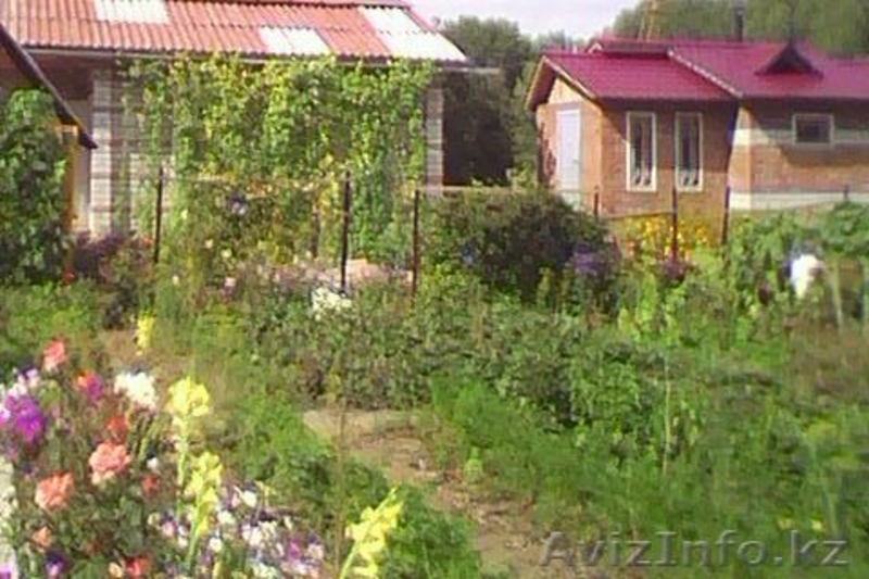 глубоковский район ново-ульбинка(22 км) - Изображение #3, Объявление #371862