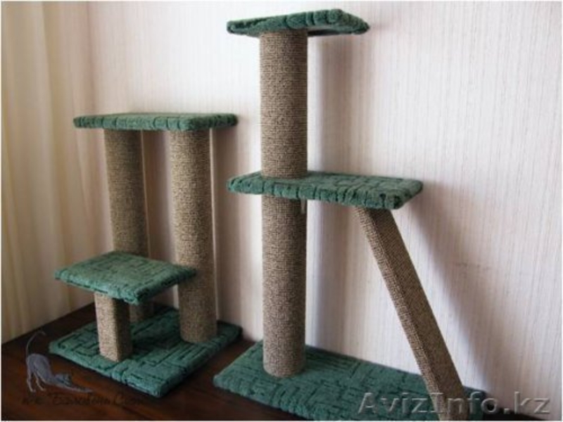 оборудование для кошек - Изображение #4, Объявление #594768