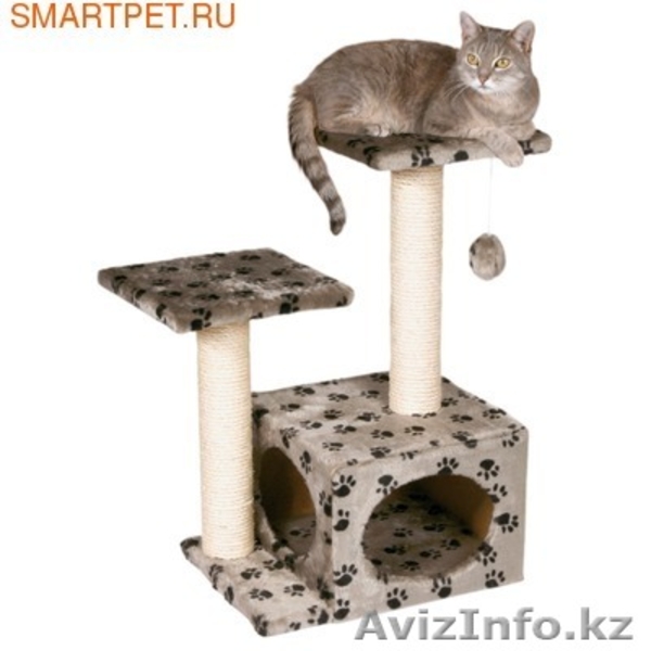 оборудование для кошек - Изображение #1, Объявление #594768