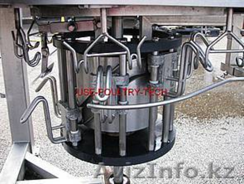 Оборудование для переработки птицы - Изображение #4, Объявление #884423