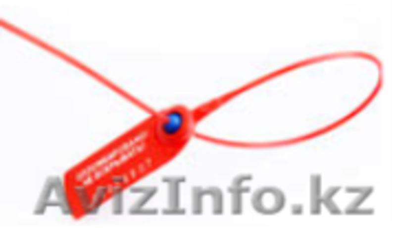 Пластиковые контрольно-индикаторные пломбы - Изображение #2, Объявление #949158