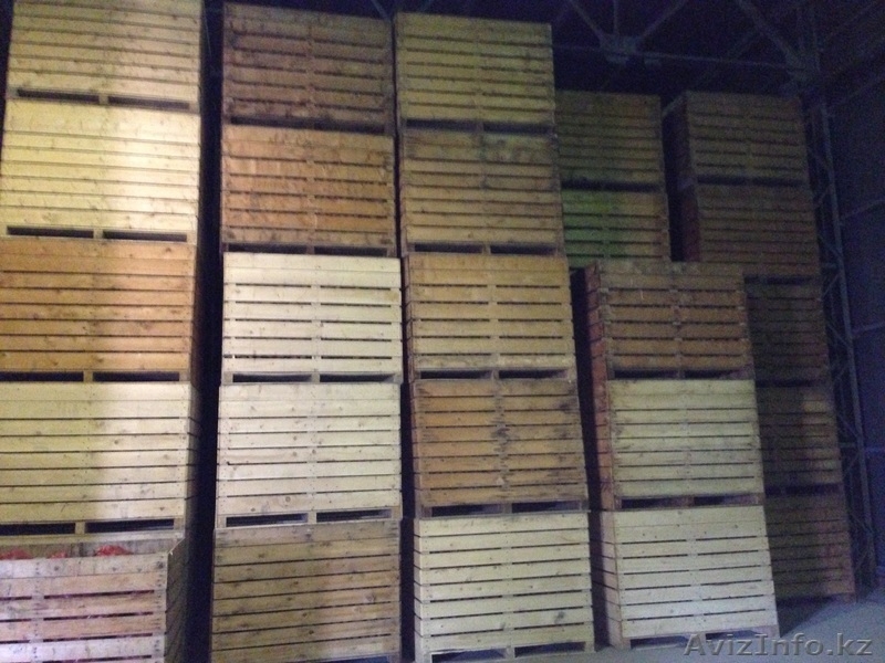 Картофель по 40 тенге - Изображение #1, Объявление #973795