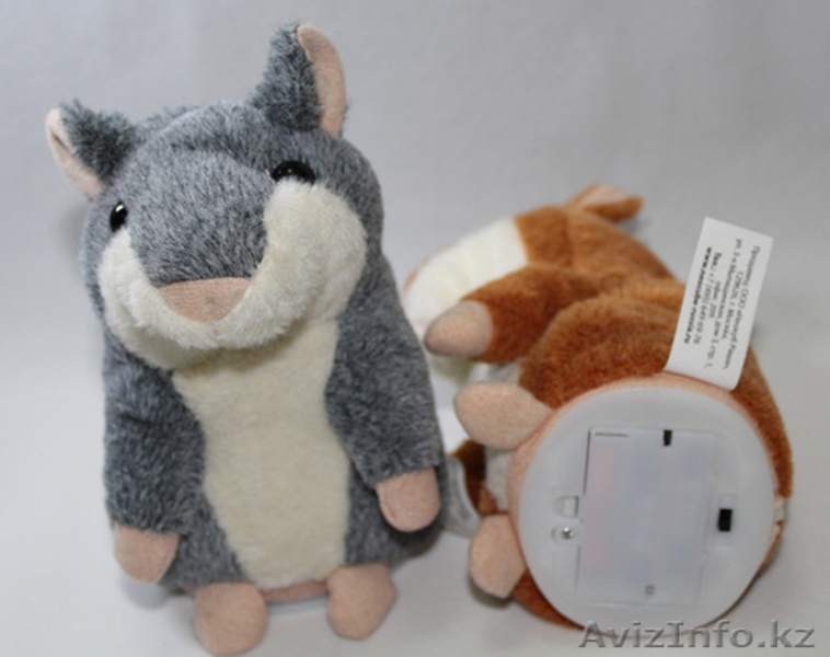 Продам говорящего хомяка!  - Изображение #4, Объявление #1016180