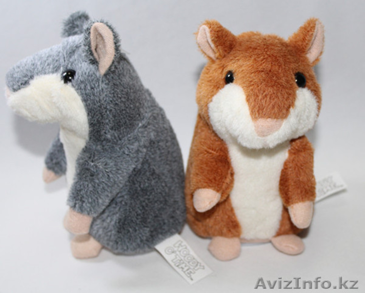 Продам говорящего хомяка!  - Изображение #5, Объявление #1016180