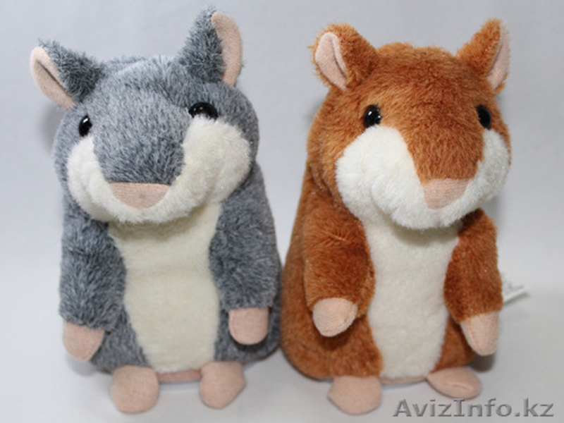 Продам говорящего хомяка!  - Изображение #3, Объявление #1016180