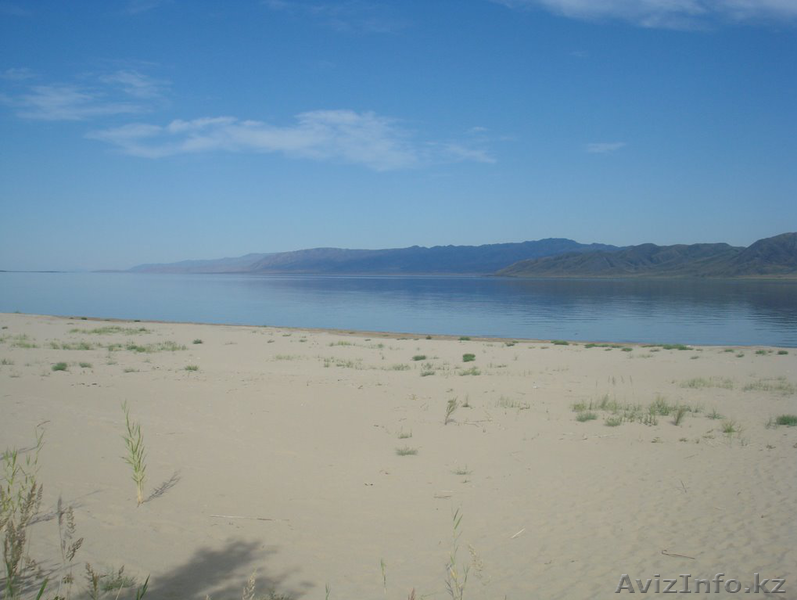 Участок у воды на Бухтарминском водохранилище - Изображение #2, Объявление #1076382