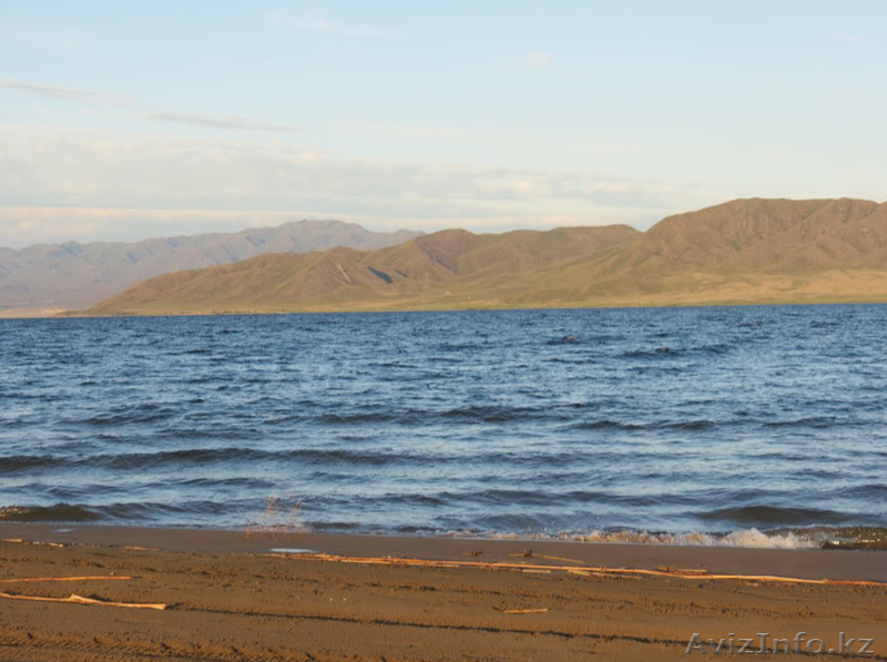 Участок у воды на Бухтарминском водохранилище - Изображение #3, Объявление #1076382