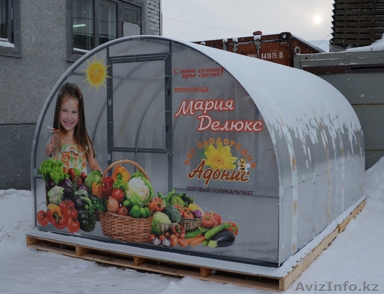 Теплицы- Сотовый поликарбонат- Парники - Изображение #2, Объявление #1202673