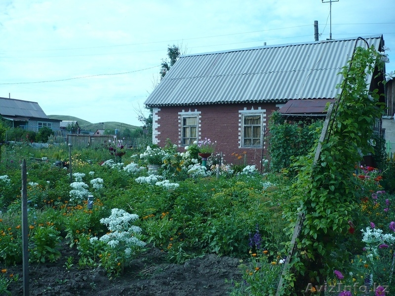 Продам дачу в районе Самсоновка - Изображение #1, Объявление #1307947