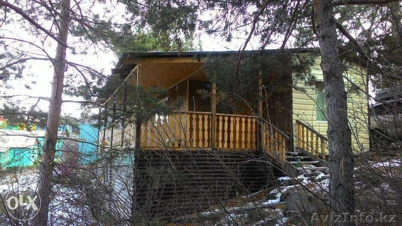 Сдам дом на Бухтарминском водохранилище. Б/О "Орион" - Изображение #1, Объявление #1355424