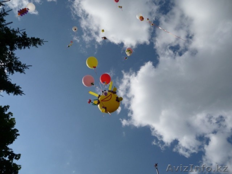 Запуск фигур из шаров в небо  - Изображение #9, Объявление #1361668