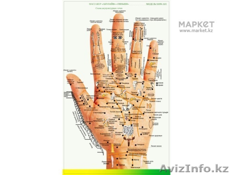 Акупунктурная диагностика всего организма - Изображение #1, Объявление #1372255