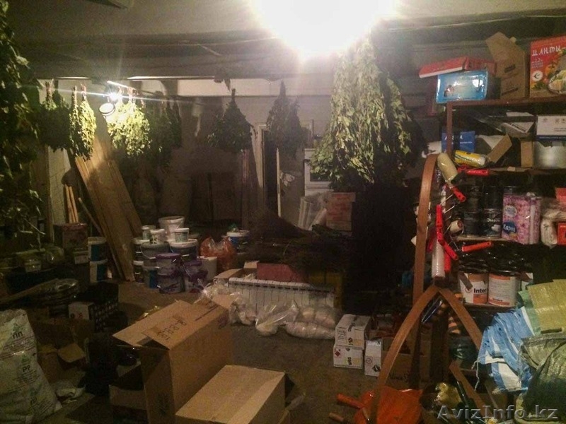 продам хозяйственный и продуктовый магазин - Изображение #8, Объявление #1404376