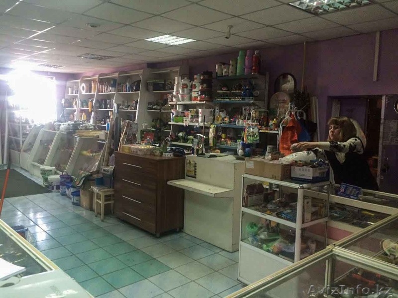 продам хозяйственный и продуктовый магазин - Изображение #6, Объявление #1404376
