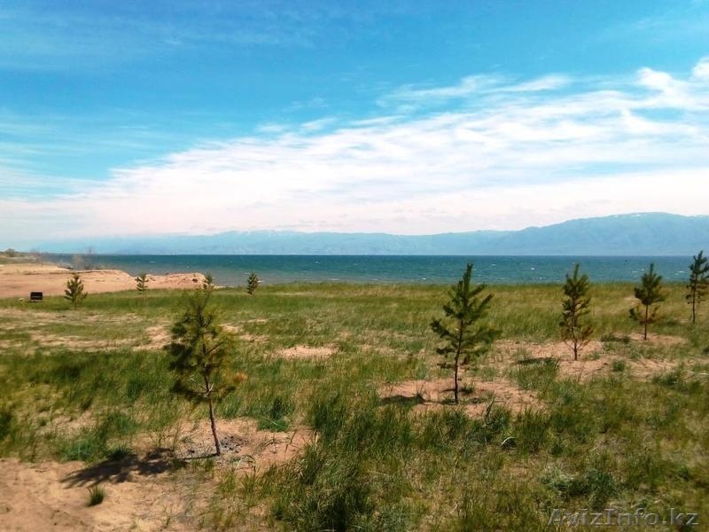 Сдаются дома на самарском берегу Бухтарминского водохранилища - Изображение #4, Объявление #1444667
