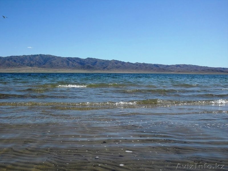 Сдаются дома на самарском берегу Бухтарминского водохранилища - Изображение #3, Объявление #1444667