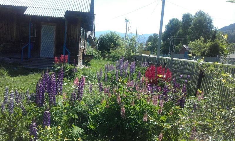 НЕДОРОГО ПРОДАМ ДВУХЭТАЖНЫЙ БЛАГОУСТРОЕННЫЙ ДОМ - Изображение #1, Объявление #1449857