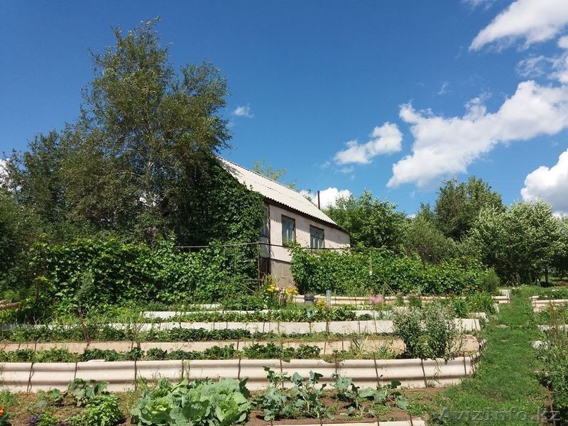 Продам дачу. Продам дачу.Продам дачу Продам дачу Продам дачу Продам дачу Продам  - Изображение #1, Объявление #1571884