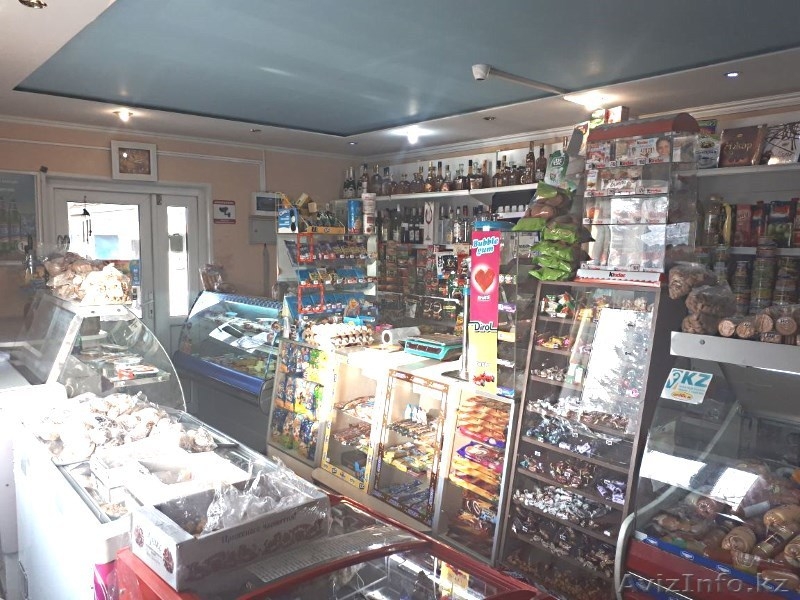 Продам действующий продуктовый магазин в Белоусовке - Изображение #5, Объявление #1606352