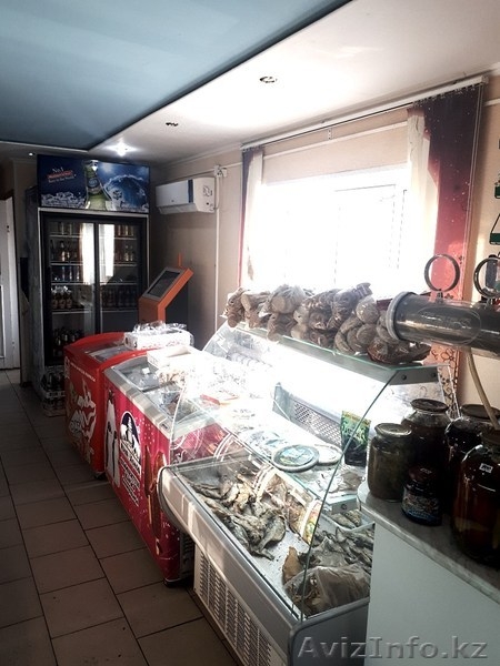 Продам действующий продуктовый магазин в Белоусовке - Изображение #6, Объявление #1606352