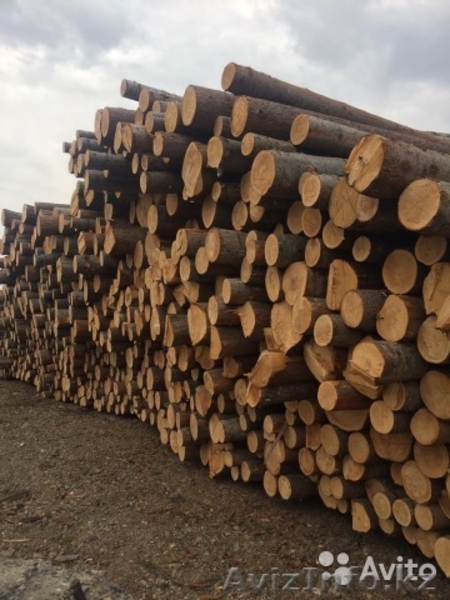Опт. Пиломатериал из отборных пород сибирского леса - Изображение #3, Объявление #1610312