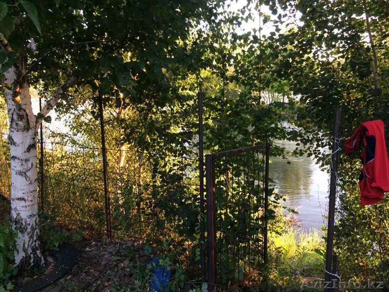 Продам дачу в городе на берегу Иртыша. Аблакетка! - Изображение #2, Объявление #1622487