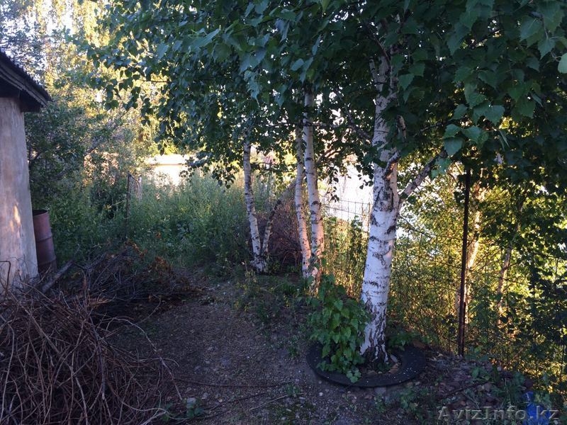 Продам дачу в городе на берегу Иртыша. Аблакетка! - Изображение #3, Объявление #1622487