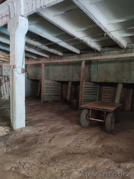 Производственная база. Овощехранилище. СДЕЛАЕМ СКИДКУ ДЛЯ РЕАЛЬНОГО ПОКУПАТЕЛЯ! - Изображение #8, Объявление #1631374