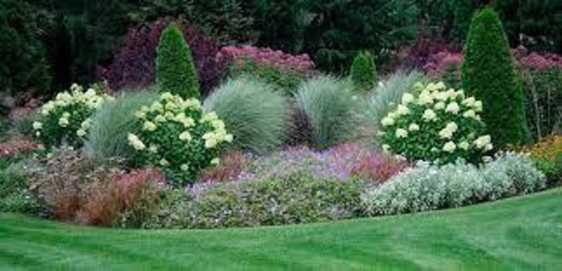 Альпинарии, рокарии, миксбордеры, каменные сады, пруды, ручьи, водопады, фонтаны - Изображение #3, Объявление #1726591