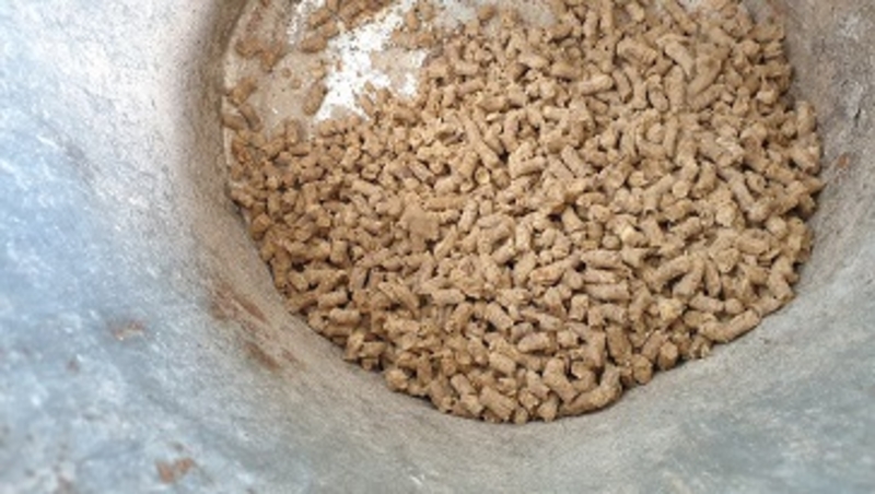 Пресс - грануляторы для овечьей шерсти  BN 100W/BN400W /BN600(Чехия) - Изображение #5, Объявление #1740654