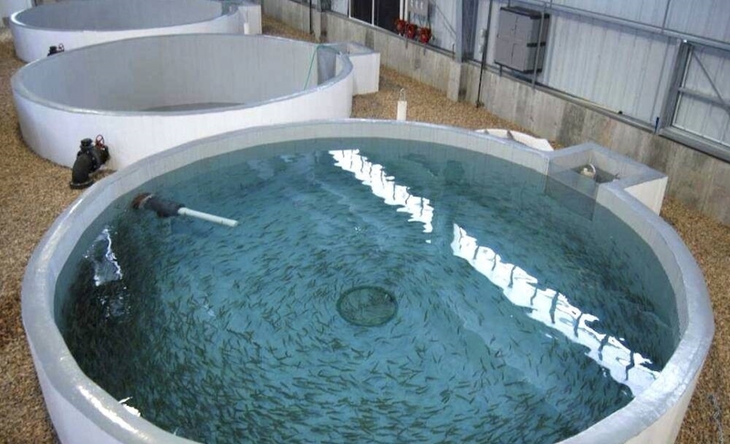 Поменяю емкости из полимер-композитов на СпецТехнику - Изображение #1, Объявление #1749879