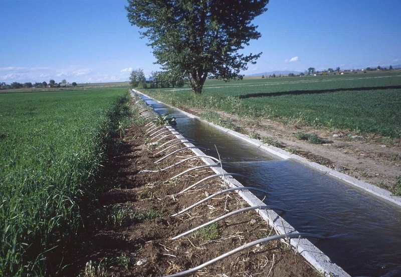 Изготовим лотки для полива - Изображение #1, Объявление #1749882