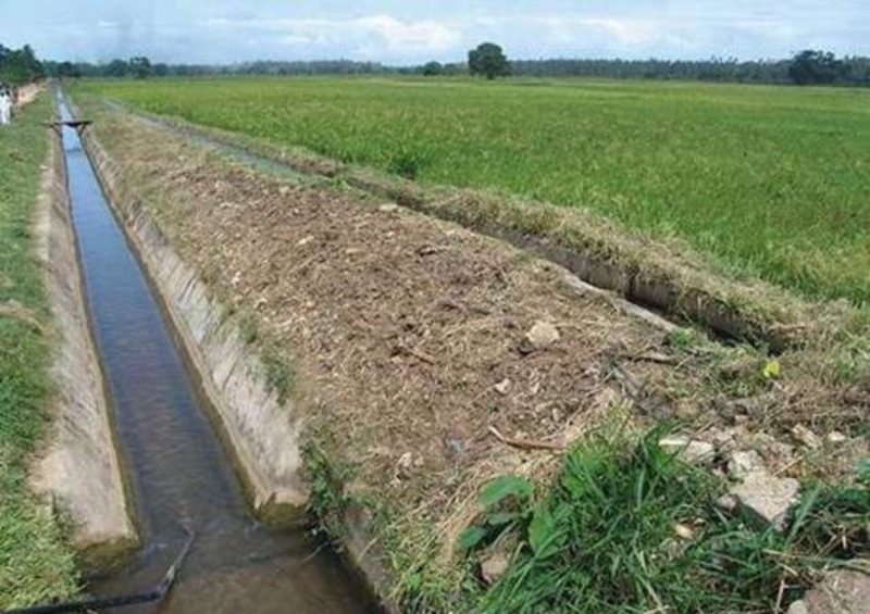 Изготовим лотки для полива - Изображение #2, Объявление #1749882