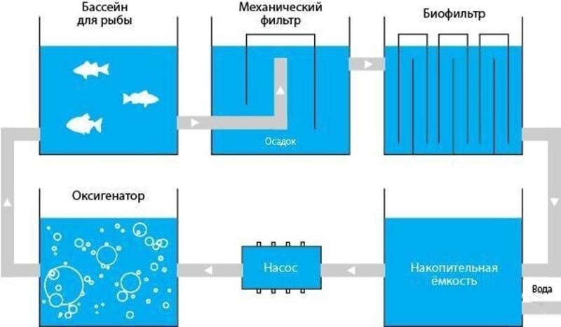 Бассейны для разведения рыбы, раков и т. д - Изображение #4, Объявление #1749887